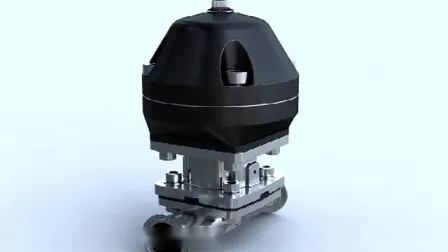 Donjoy Pneumatic Stainless Steel Sanitary Diaphragm Valve
